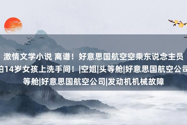 激情文学小说 离谱！好意思国航空空乘东说念主员被曝在飞机上偷拍14岁女孩上洗手间！|空姐|头等舱|好意思国航空公司|发动机机械故障