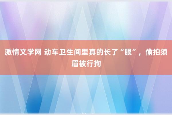 激情文学网 动车卫生间里真的长了“眼”，偷拍须眉被行拘