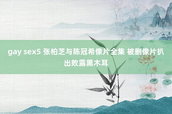 gay sex5 张柏芝与陈冠希像片全集 被删像片扒出败露黑木耳