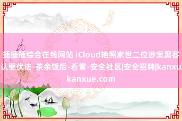 插插插综合在线网站 iCloud艳照家世二位涉案黑客,现已认罪伏法-茶余饭后-看雪-安全社区|安全招聘|kanxue.com