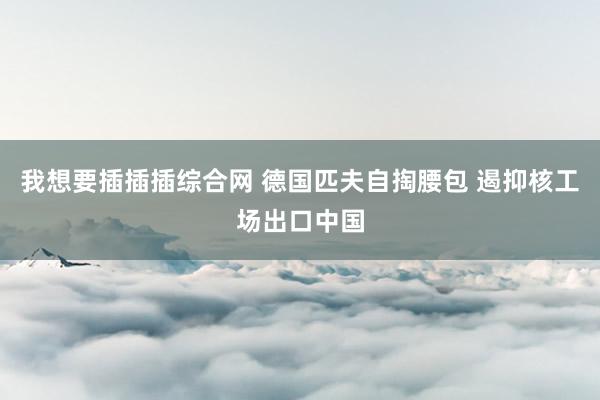 我想要插插插综合网 德国匹夫自掏腰包 遏抑核工场出口中国