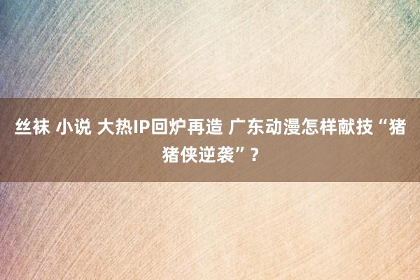 丝袜 小说 大热IP回炉再造 广东动漫怎样献技“猪猪侠逆袭”？