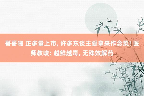 哥哥啪 正多量上市， 许多东谈主爱拿来作念菜! 医师教唆: 越鲜越毒， 无殊效解药