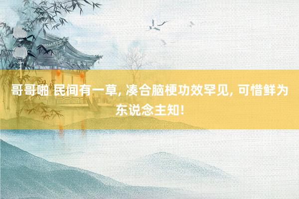哥哥啪 民间有一草， 凑合脑梗功效罕见， 可惜鲜为东说念主知!