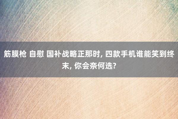 筋膜枪 自慰 国补战略正那时， 四款手机谁能笑到终末， 你会奈何选?